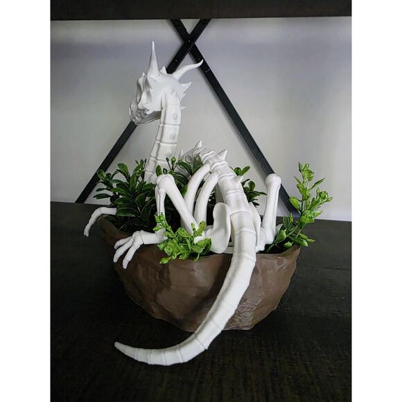 Dragon Skeleton Planter or Crystal Dish 3d Printed - Picture 5 of 7